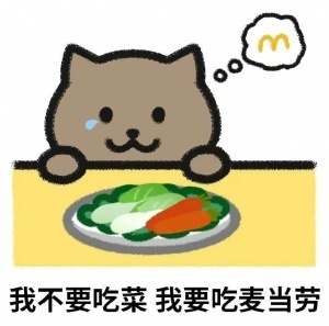 胖猫律师澄清网络谣言：刘杰父母均未放弃对谭某的刑事追责
